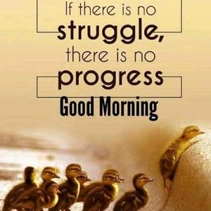 Meet your Posher, Venkata